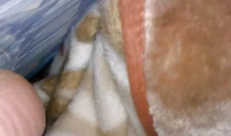 زیبا, سبزه, فیلم سکسی سینمایی شهوانی کون بزرگ, سه شنبه در یک عضو از مردان در حالی که استفاده از این قسمت