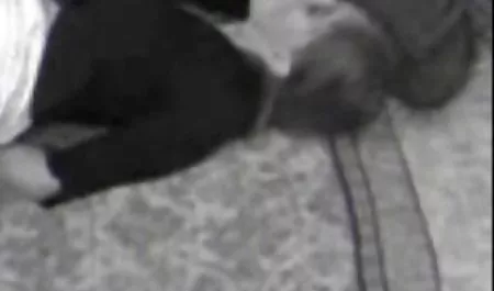 - دانلود فیلم های سکسی سینمایی سه ظروف