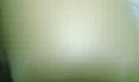 آهنگ دانلود فیلم سینمایی های سکسی گربه